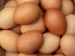 Free Range Eggs